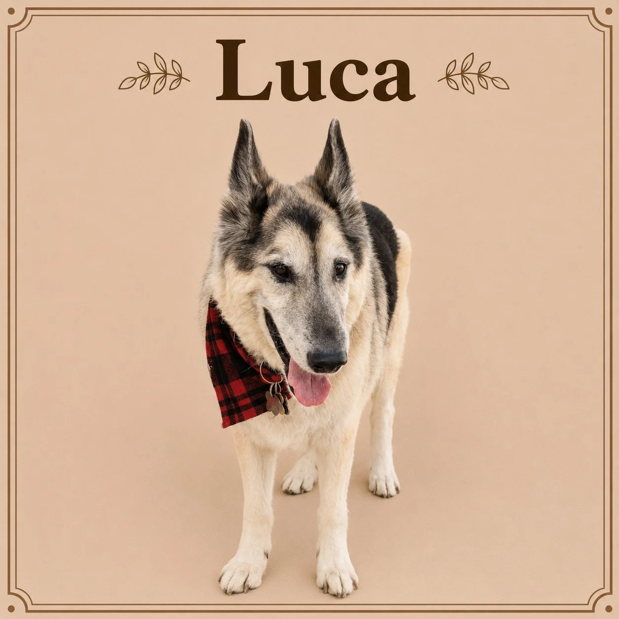 Luca.jpeg