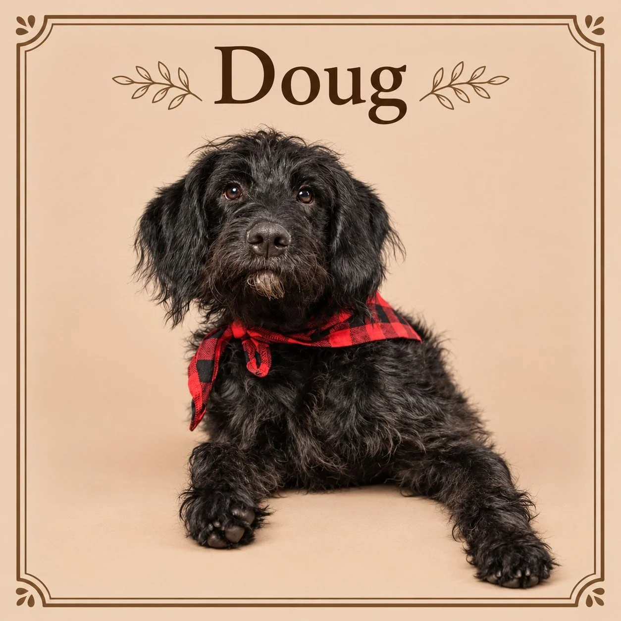Doug.jpg