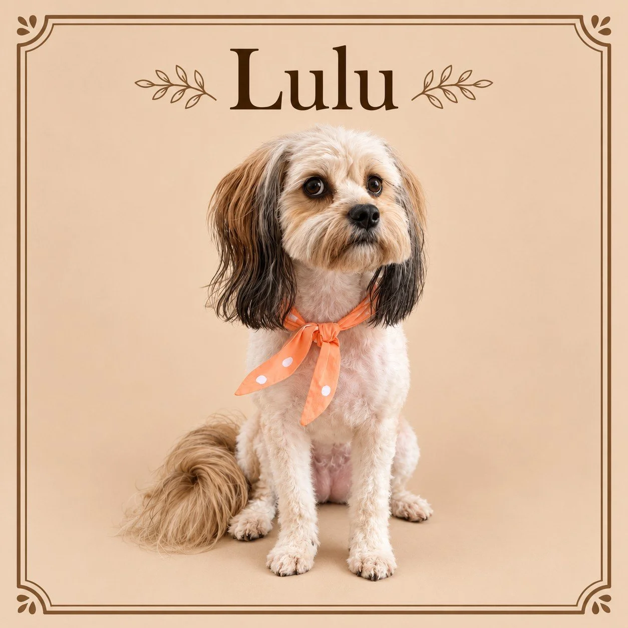 Lulu.jpg