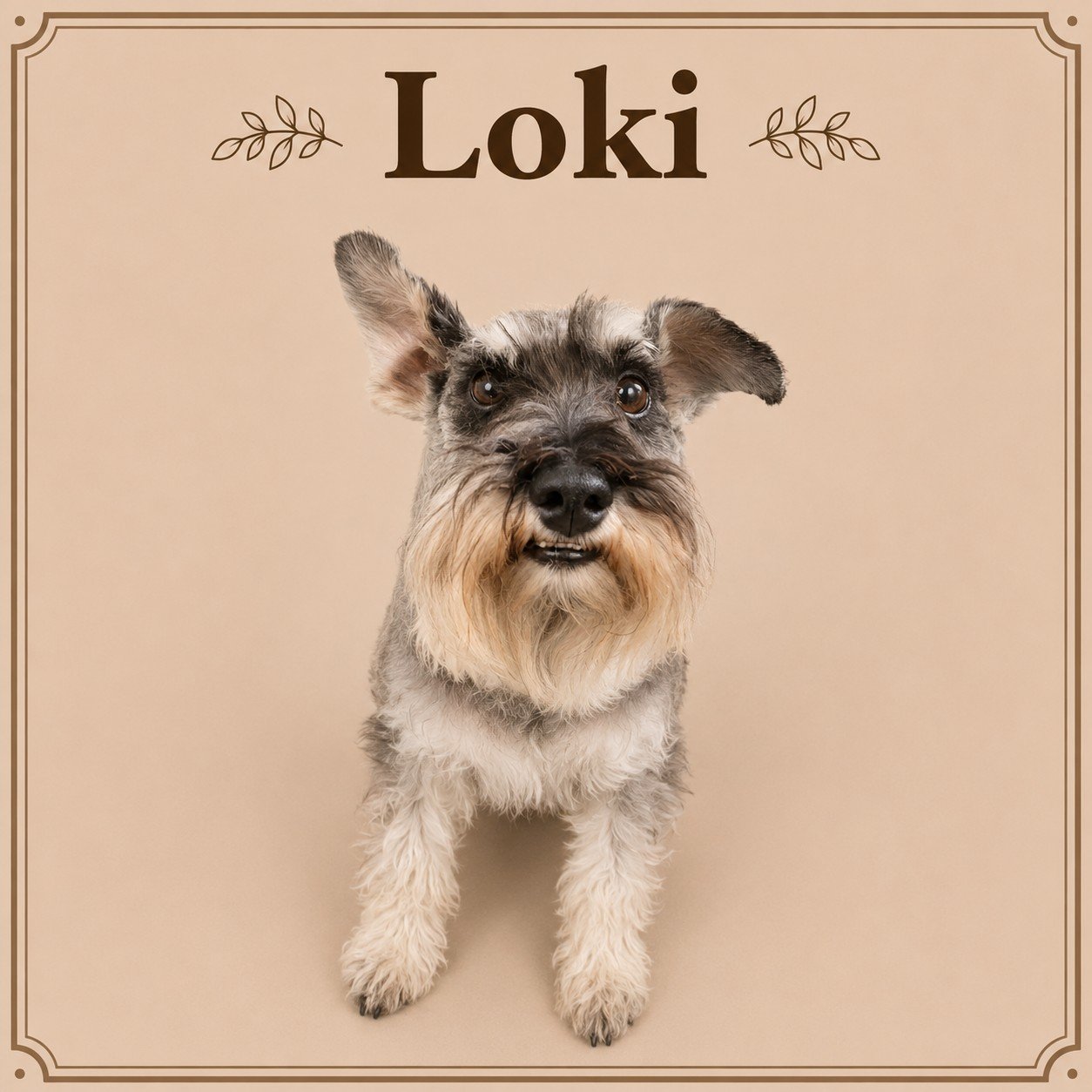 Loki.jpeg