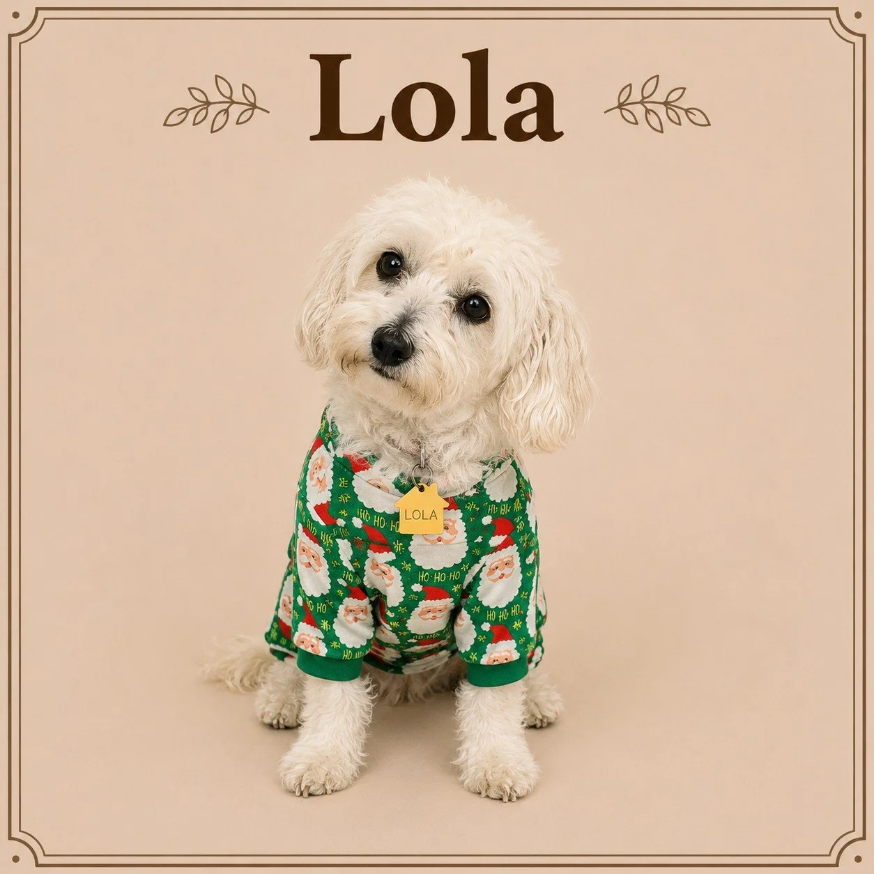 Lola (2).jpeg
