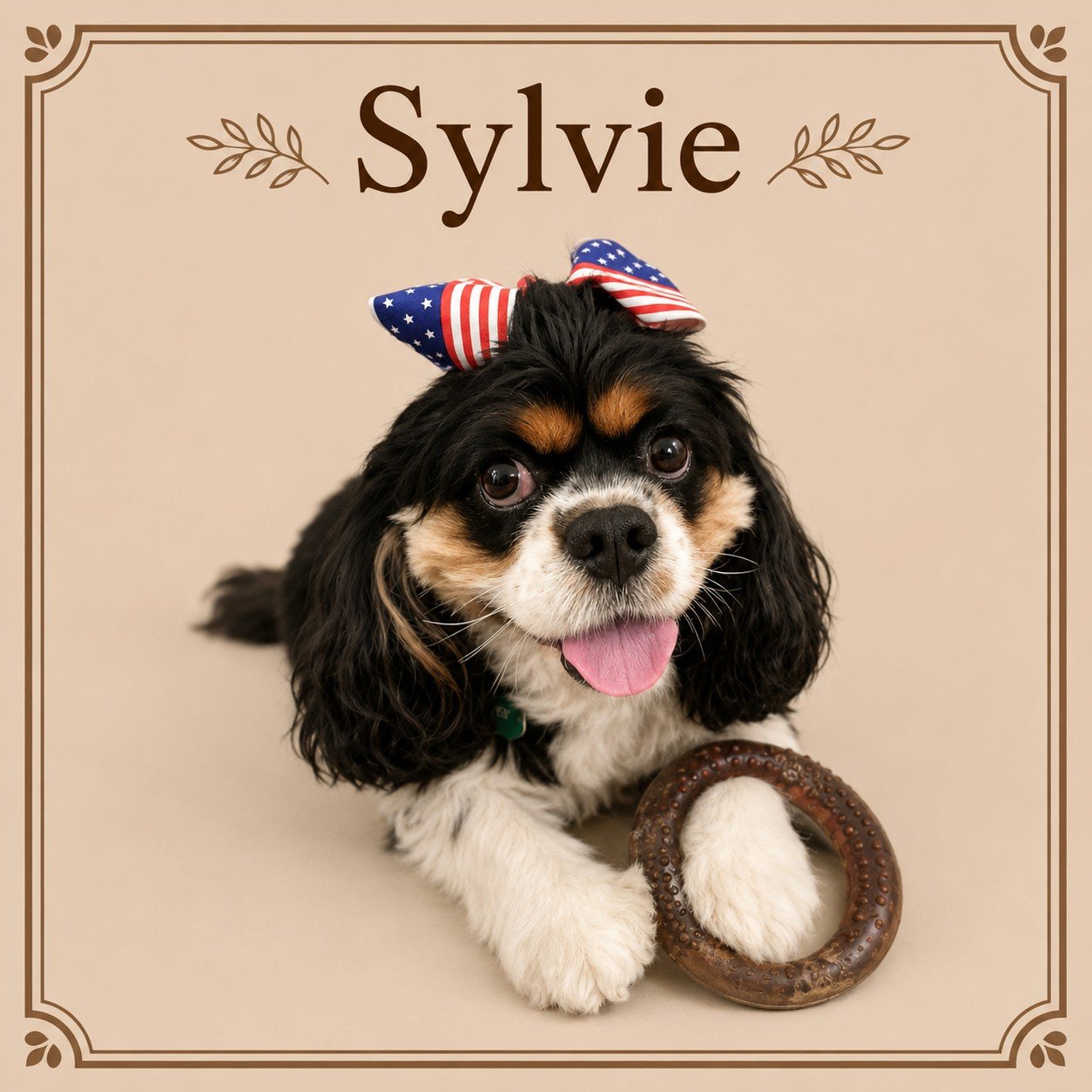Sylvie.jpeg