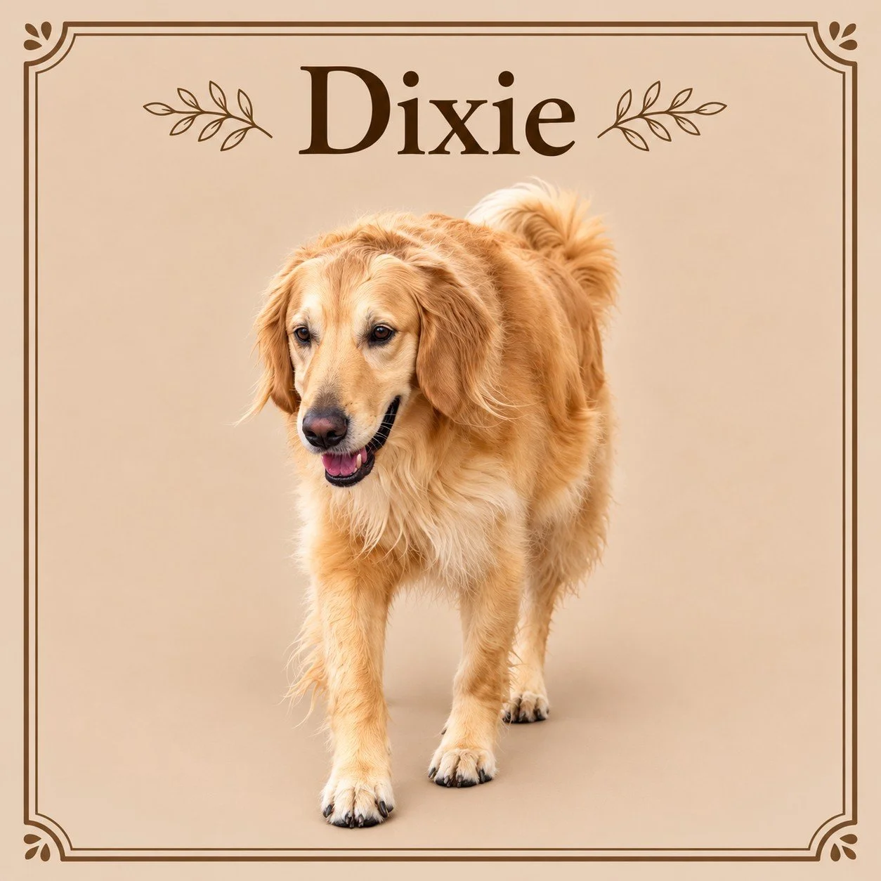 Dixie.jpg