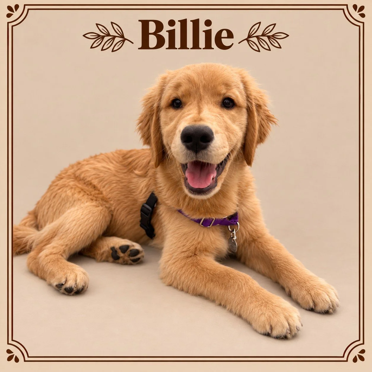 Billie.jpg