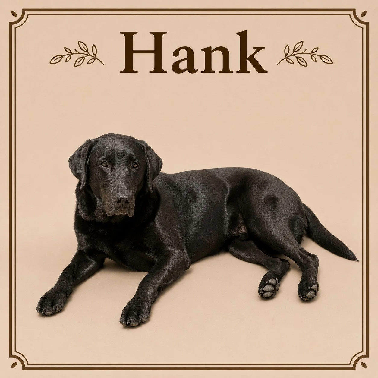 Hank.jpeg