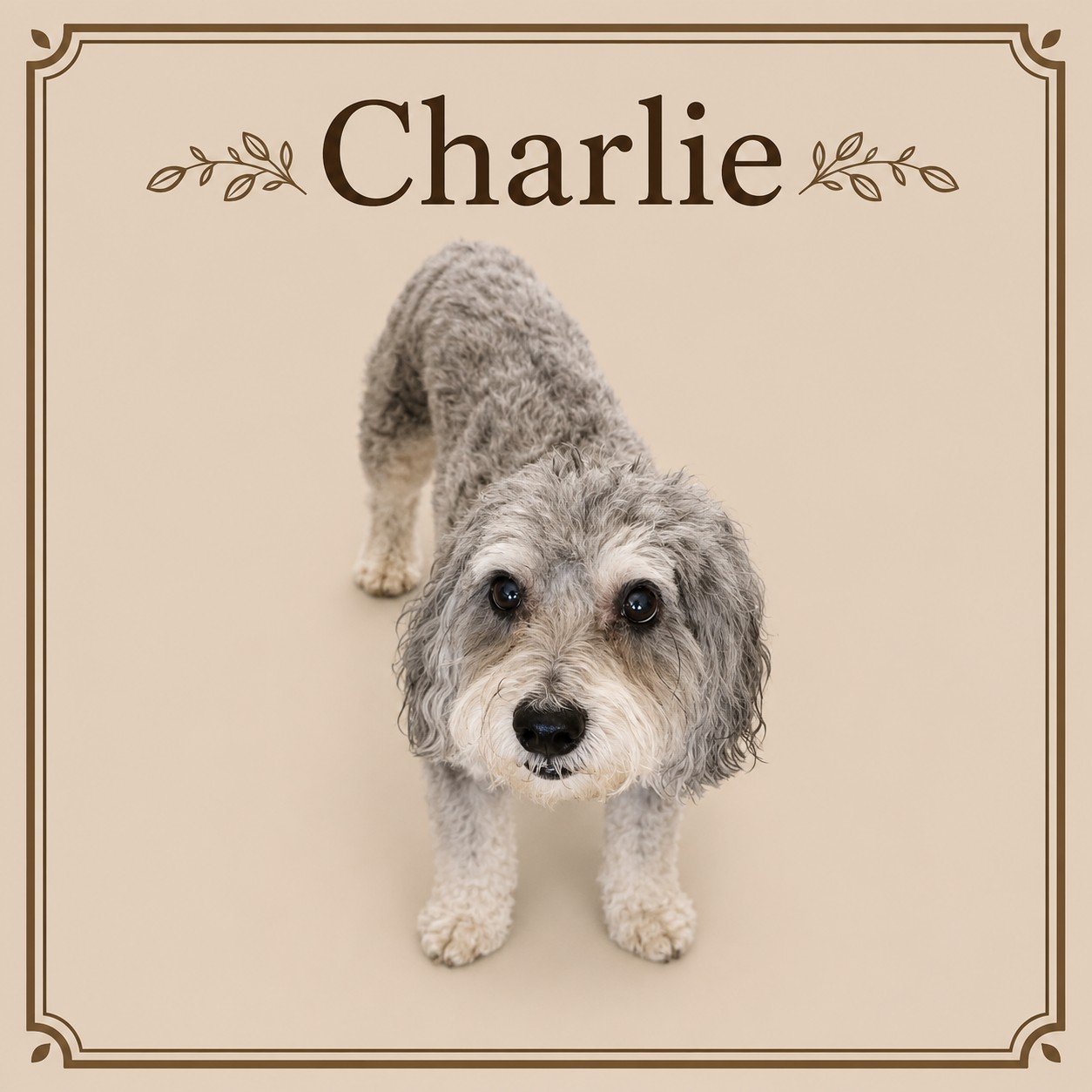 Charlie.jpeg