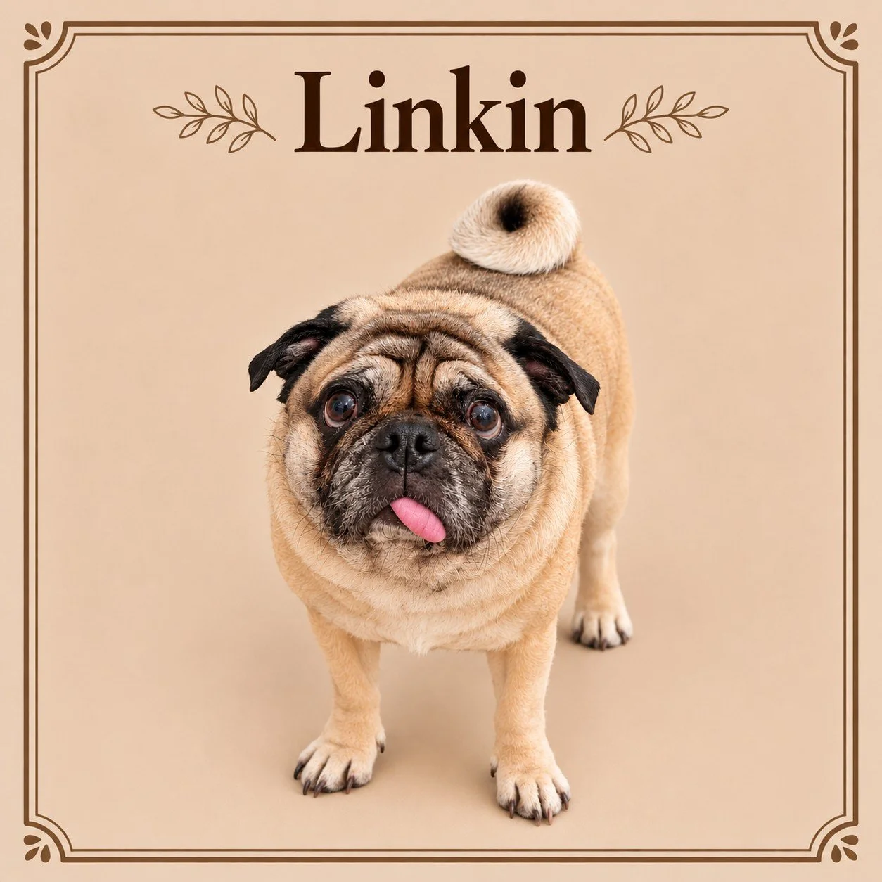 Linkin.jpg