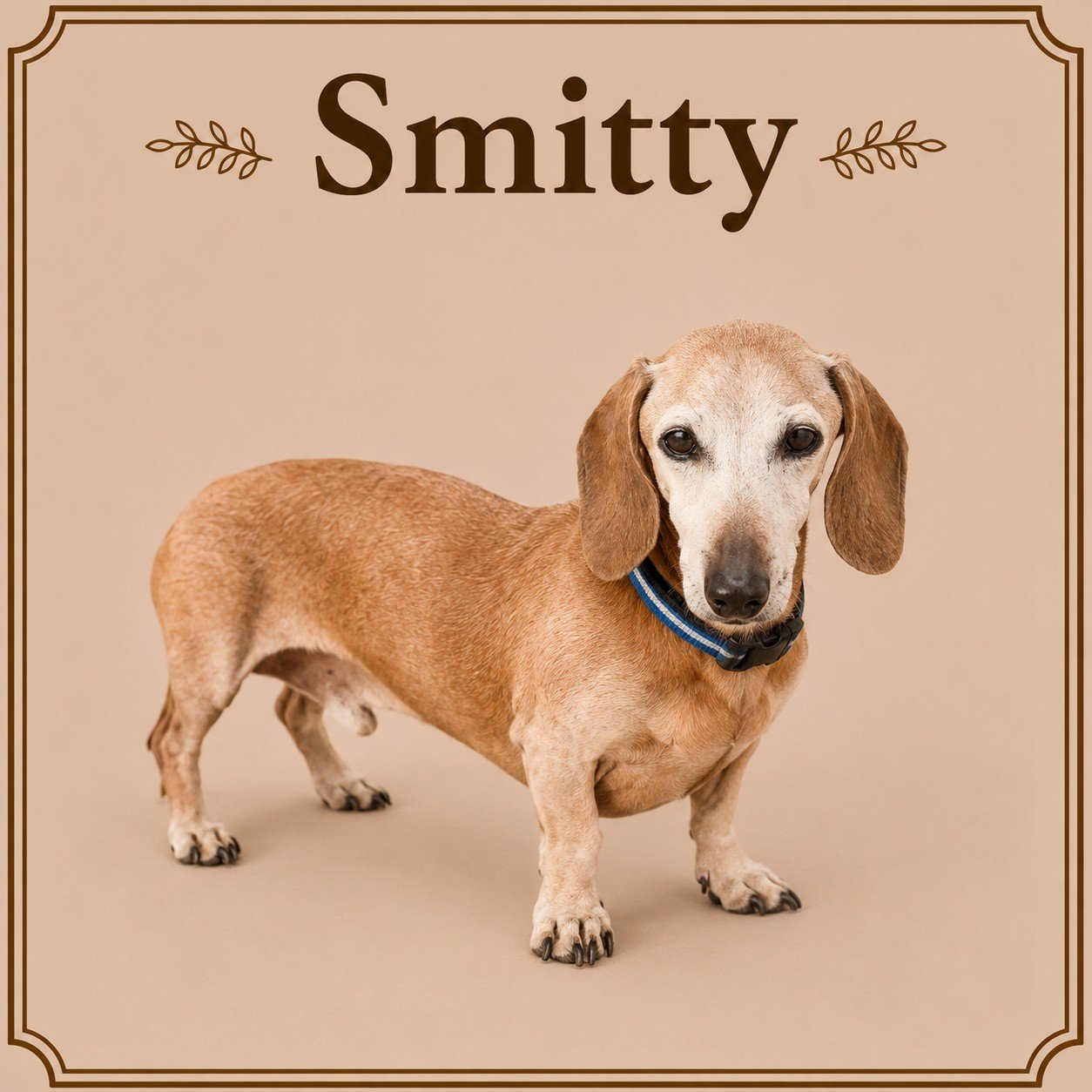 Smitty.jpeg