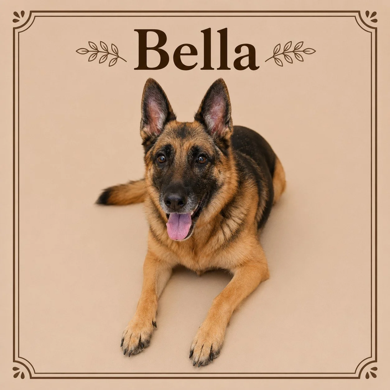 Bella (3).jpeg