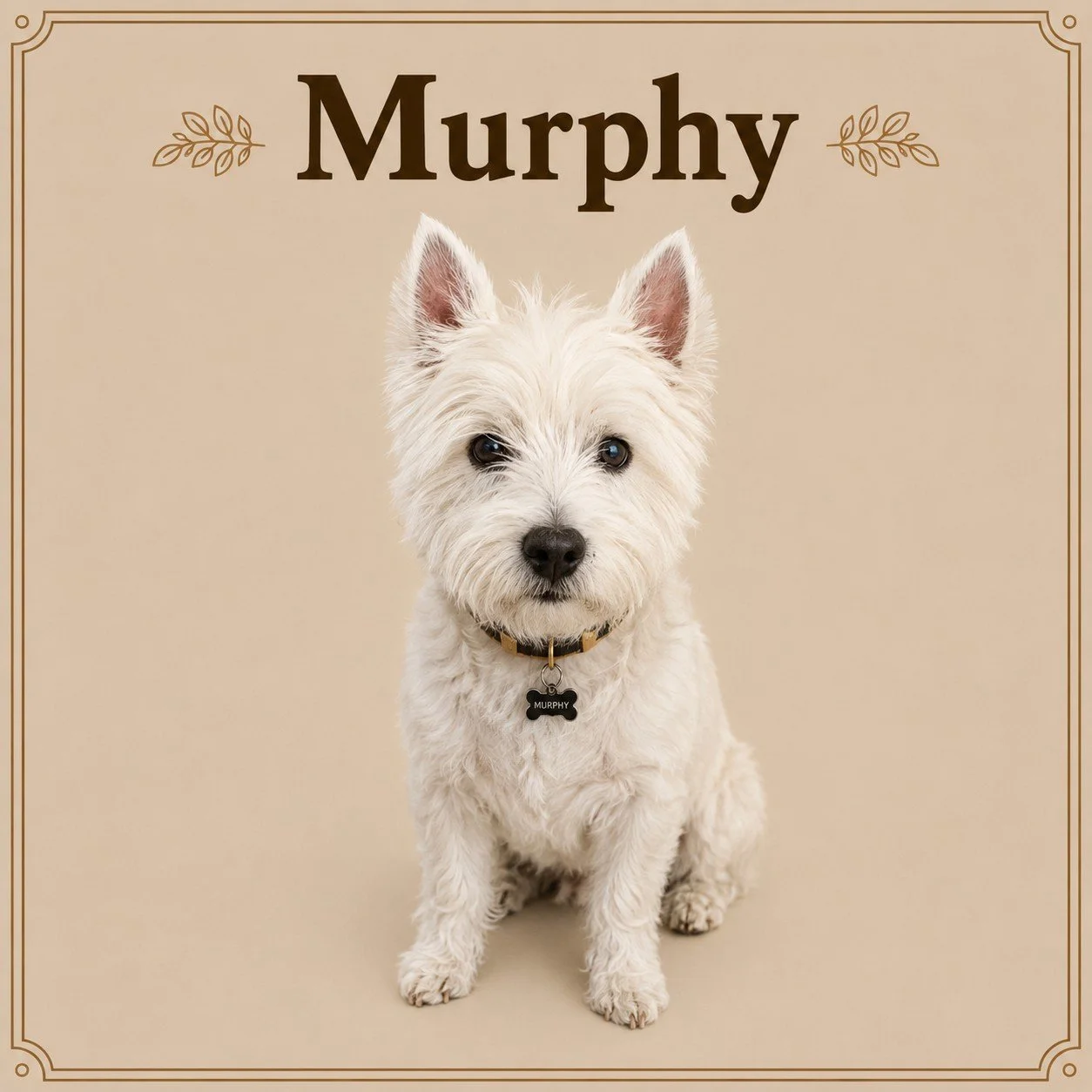 Murphy.jpeg