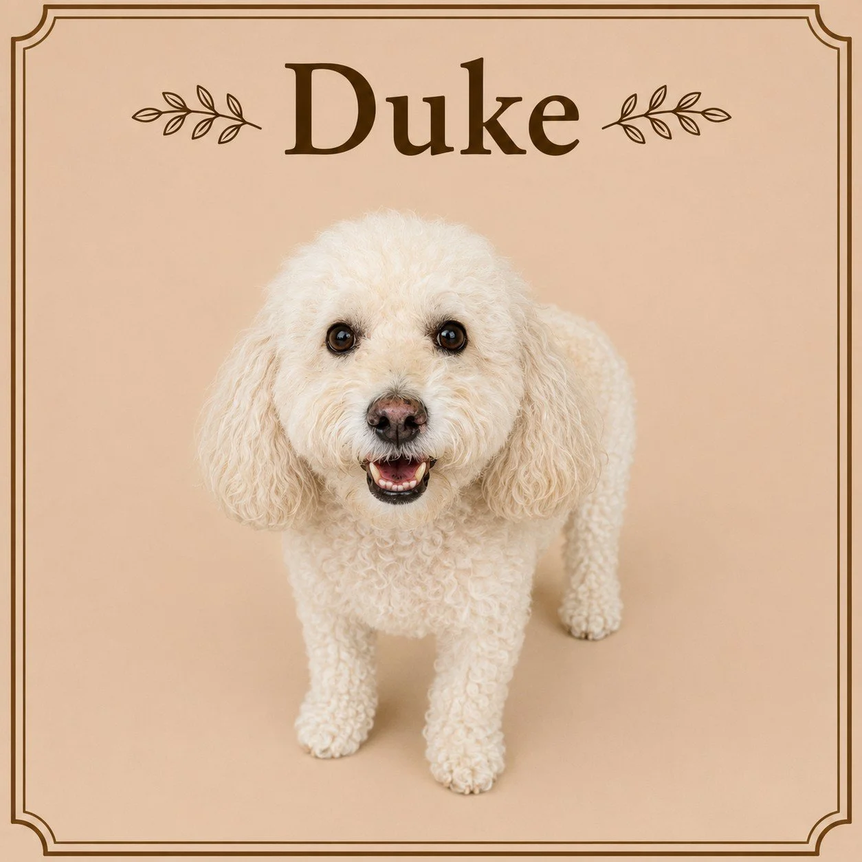 Duke.jpeg