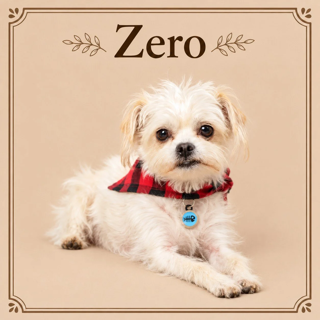 Zero.jpg