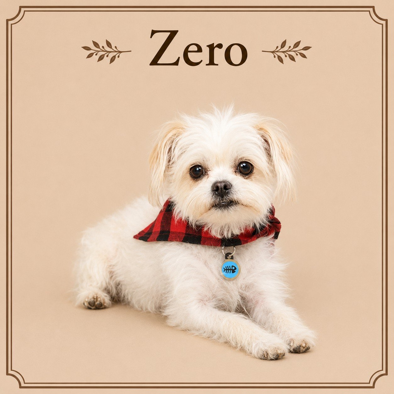 Zero.jpeg