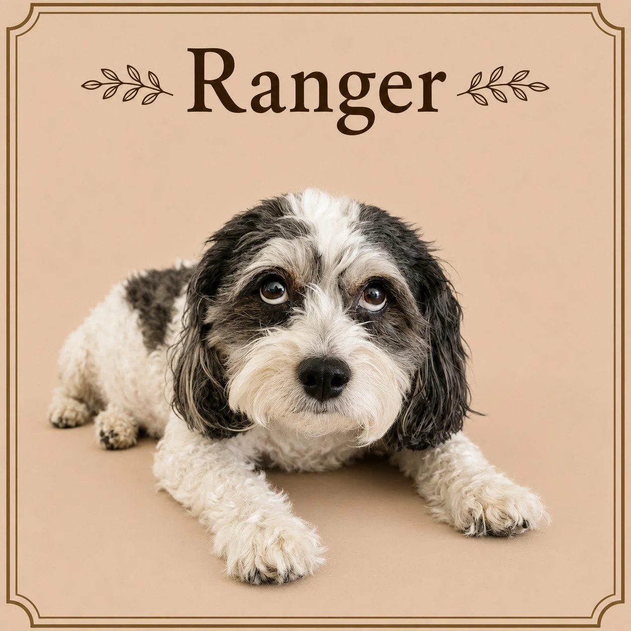 Ranger.jpeg