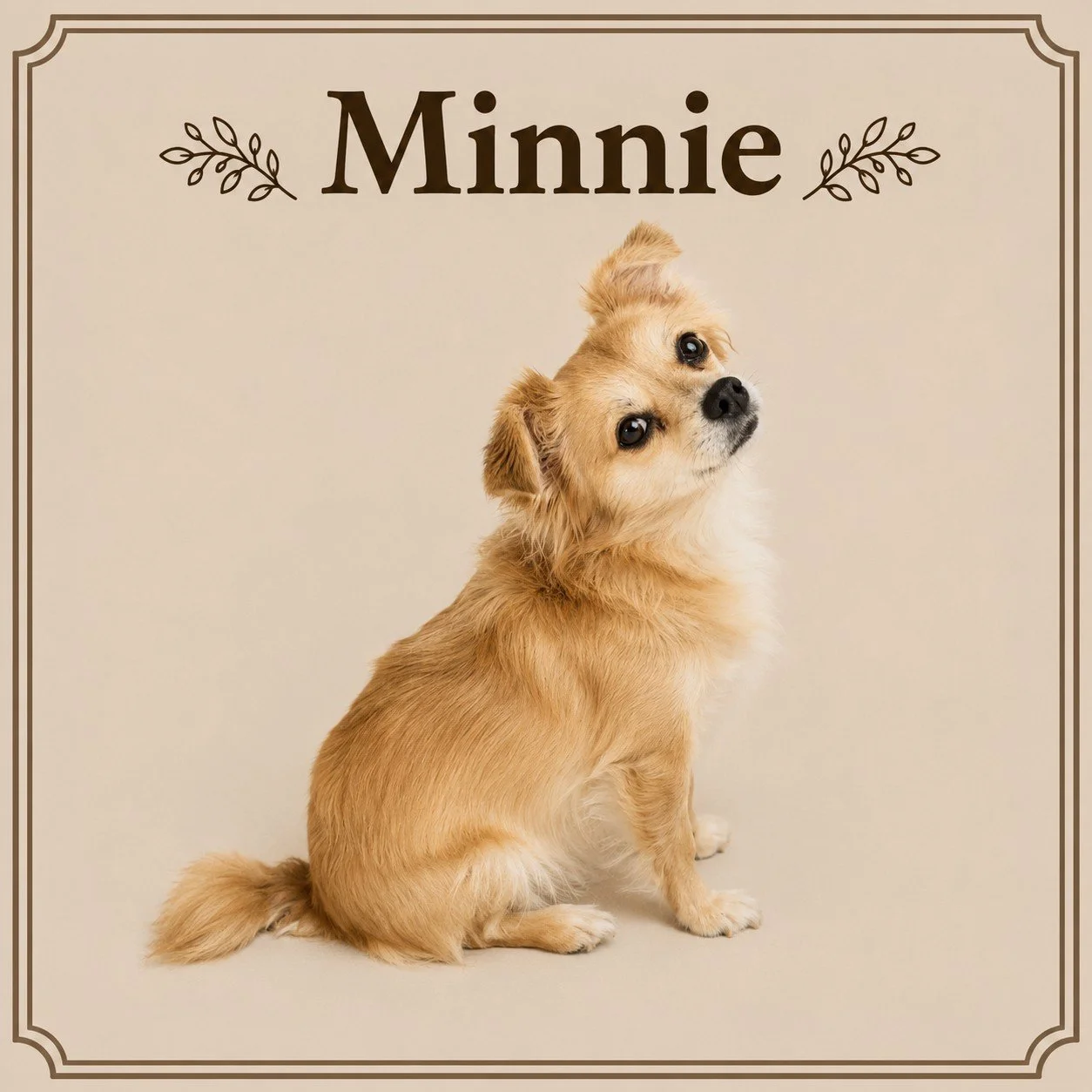 Minnie.jpeg