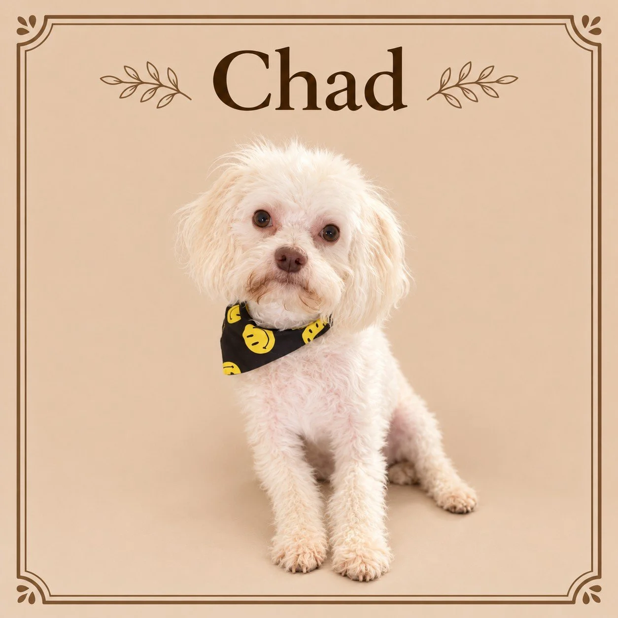 Chad.jpg
