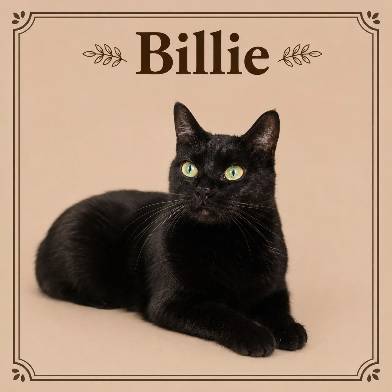 Billie.jpeg