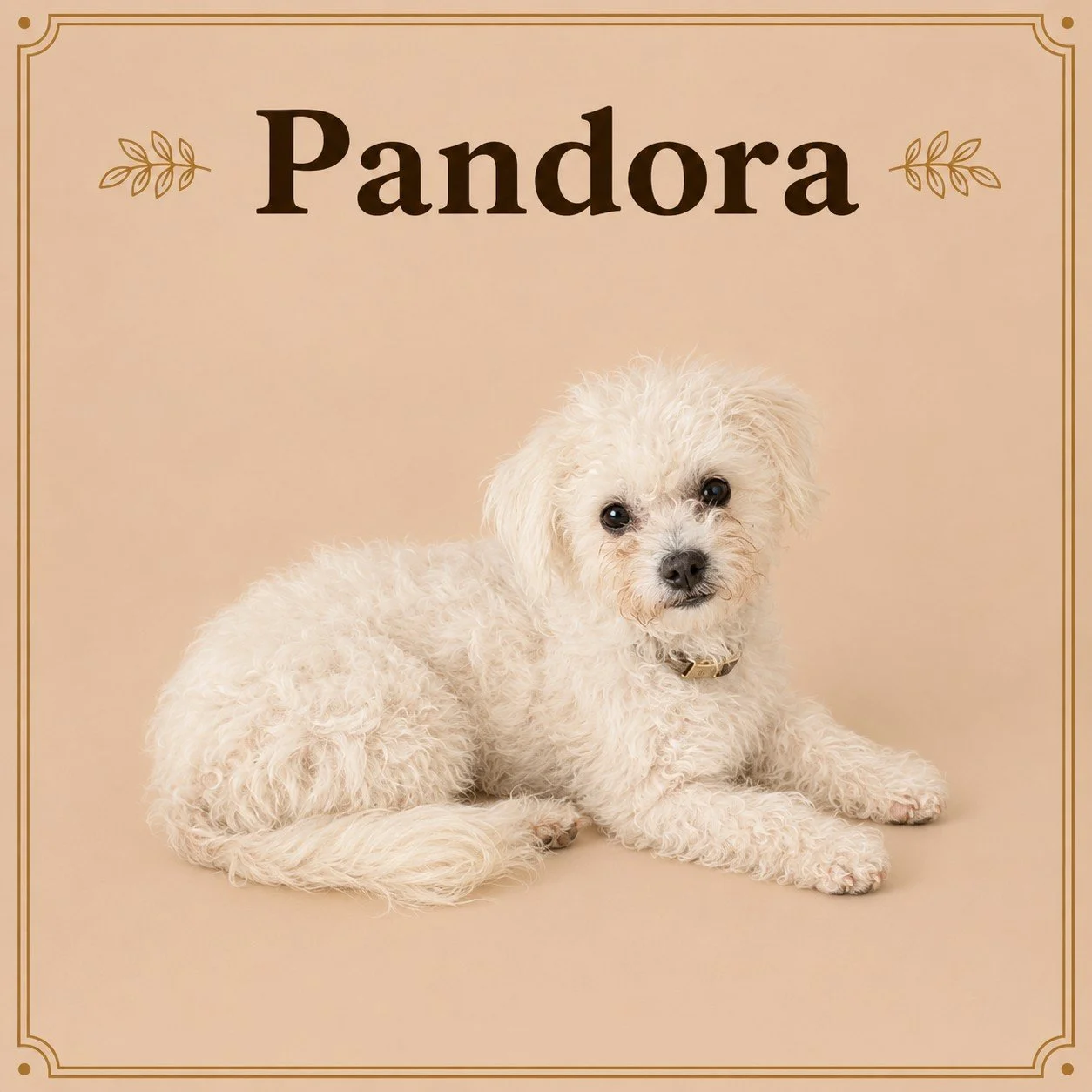 Pandora.jpeg