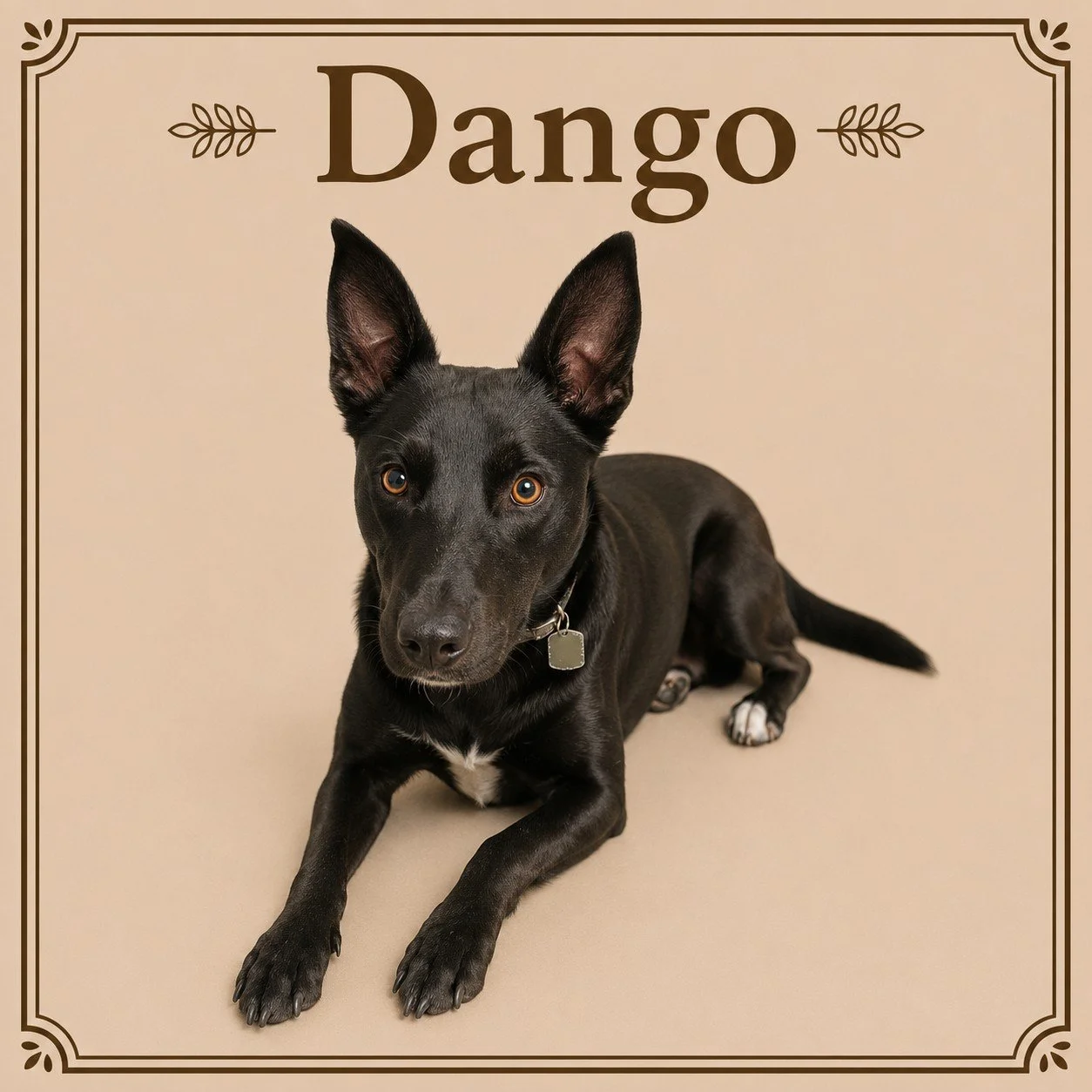 Dango.jpeg