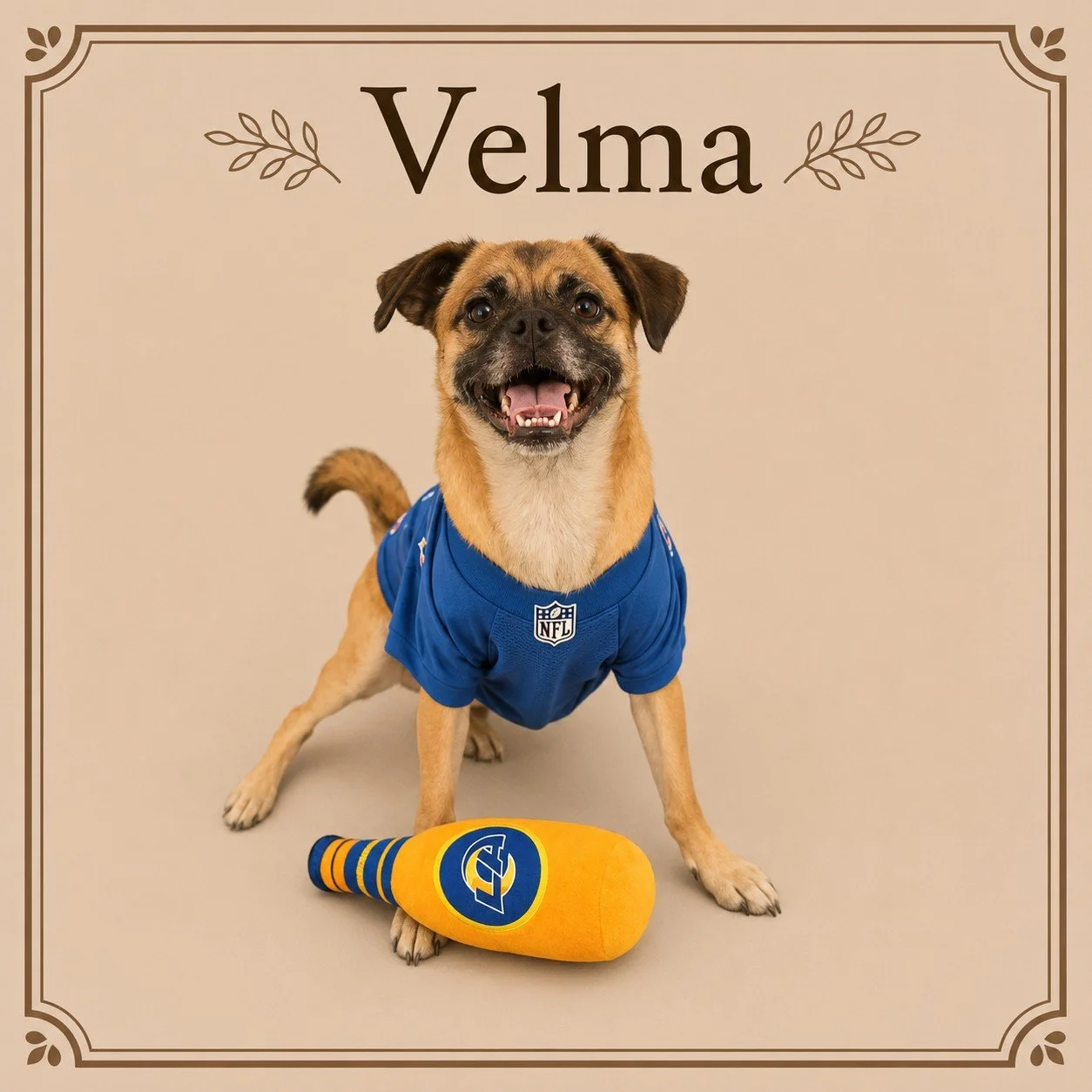Velma.jpeg