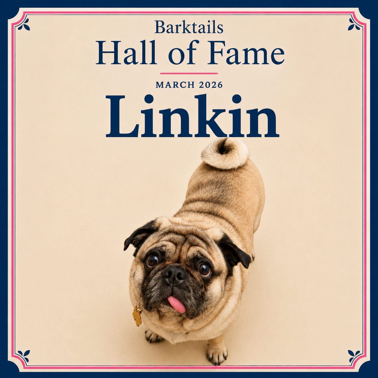 2026-03 Linkin.png