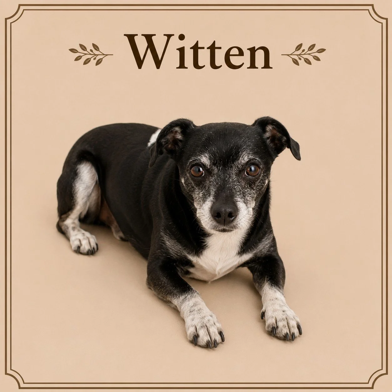 Witten.jpeg