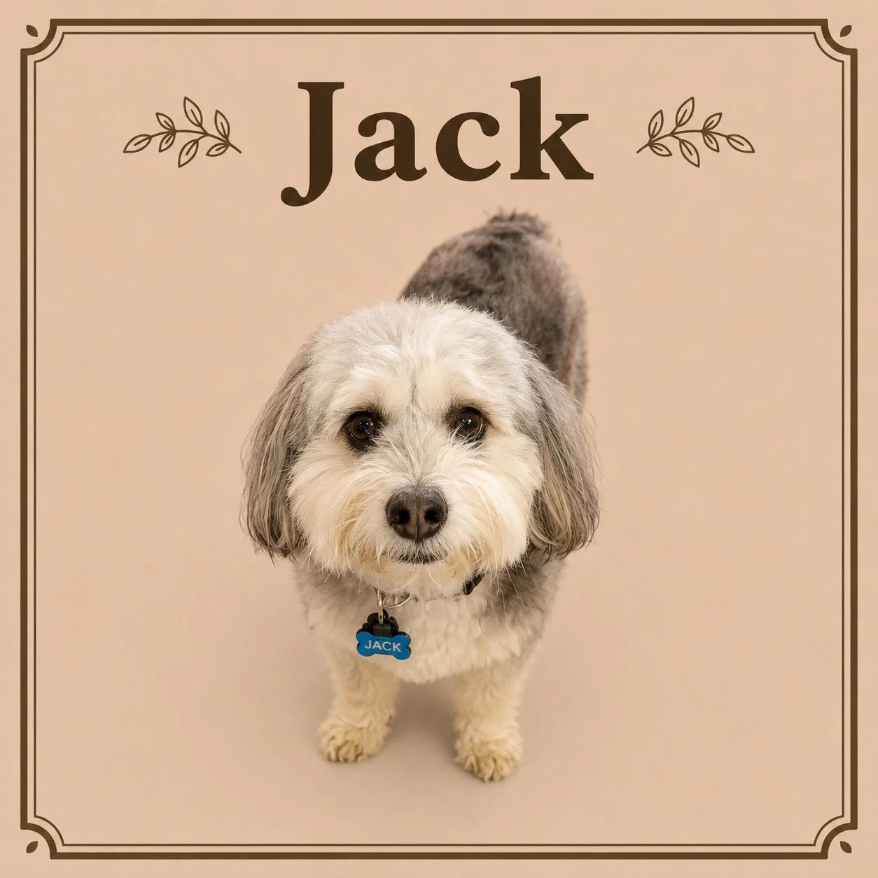 Jack (2).jpeg