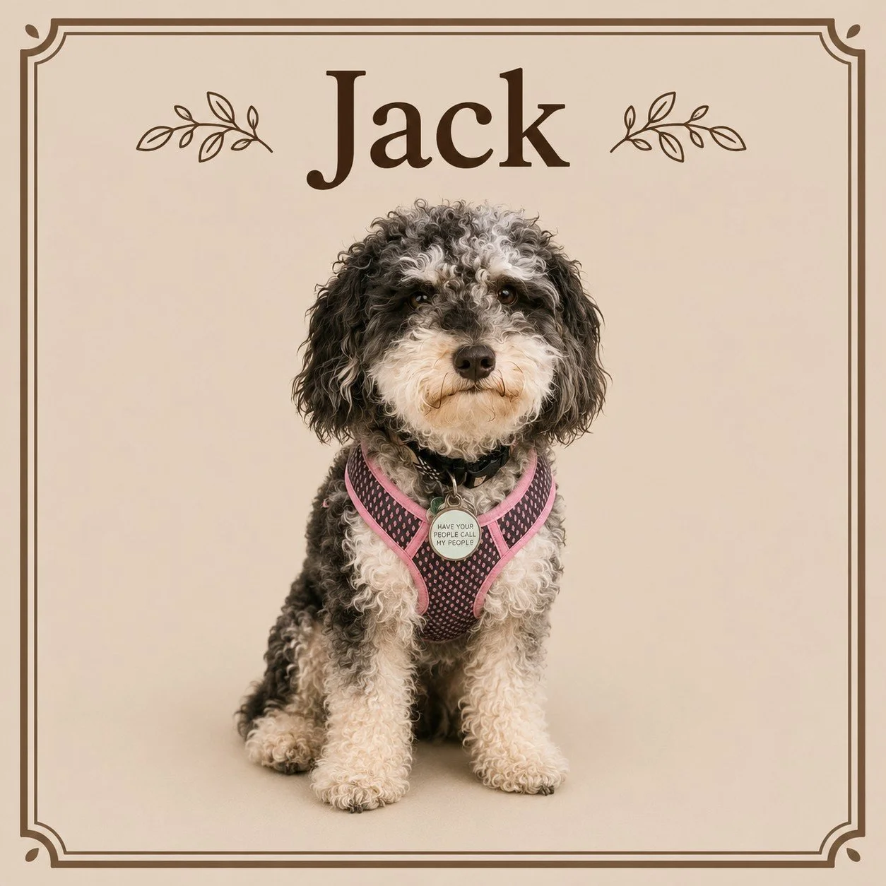 Jack.jpeg