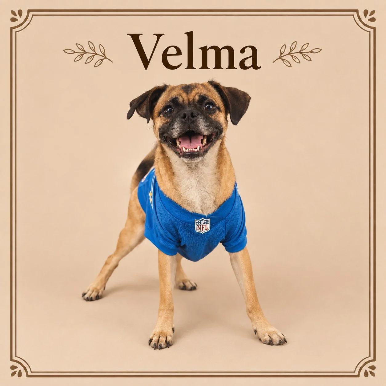 Velma.jpg
