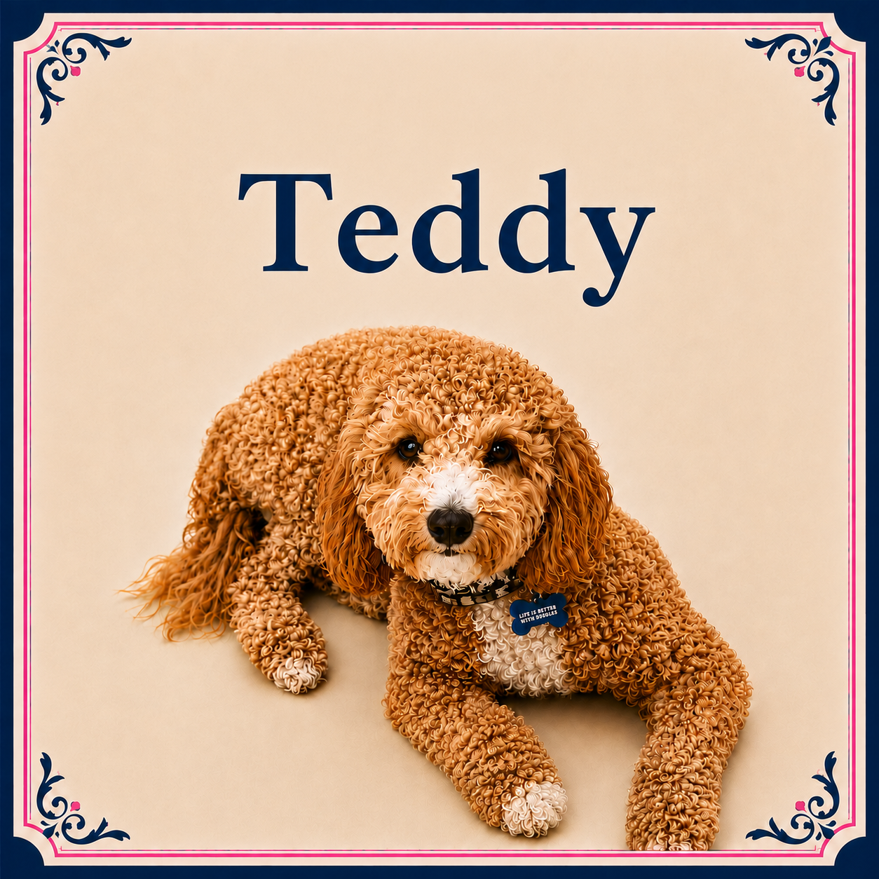 Teddy