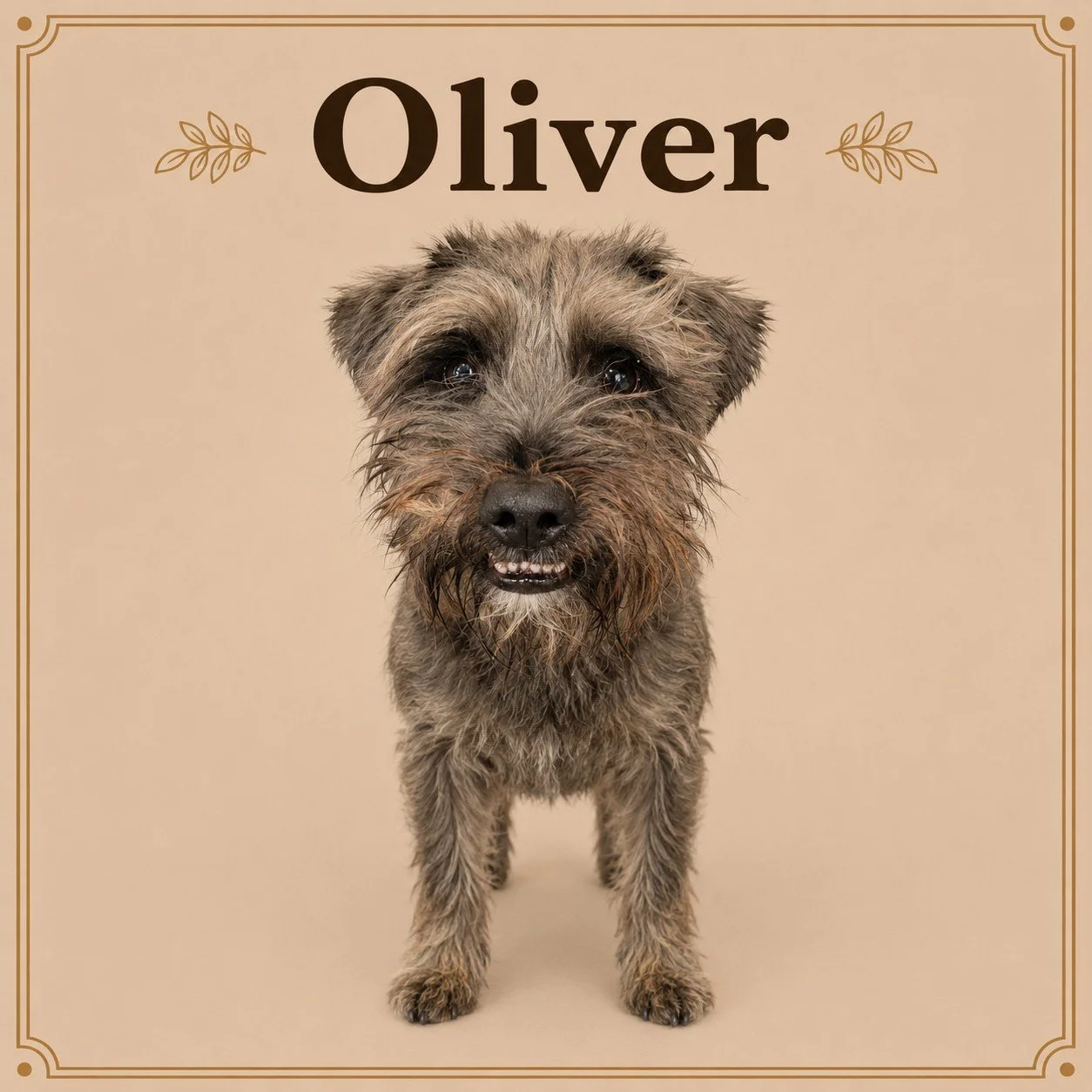 Oliver.jpeg