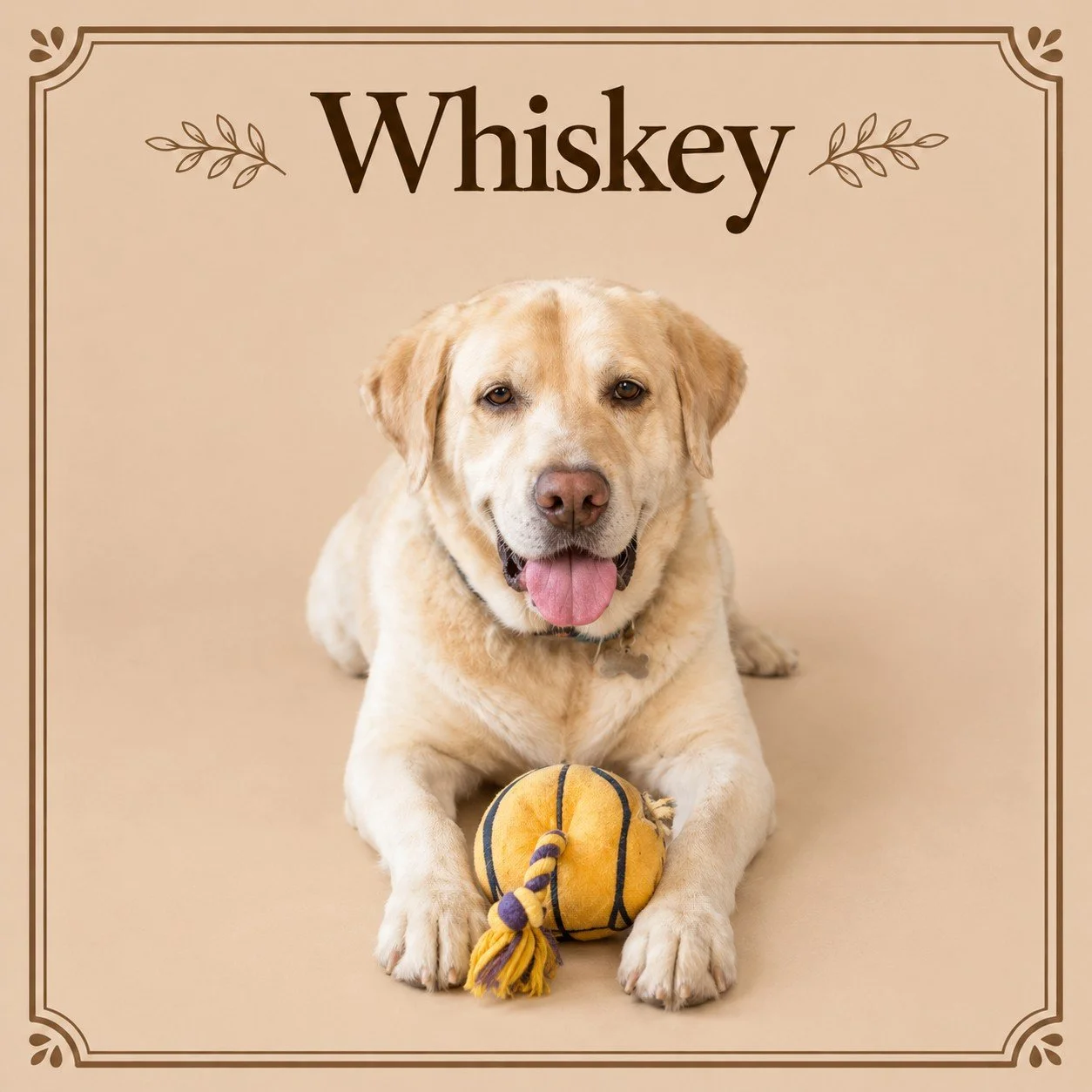 Whiskey.jpg