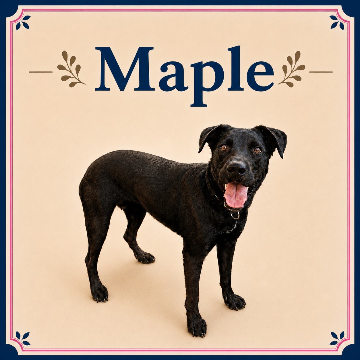 Maple