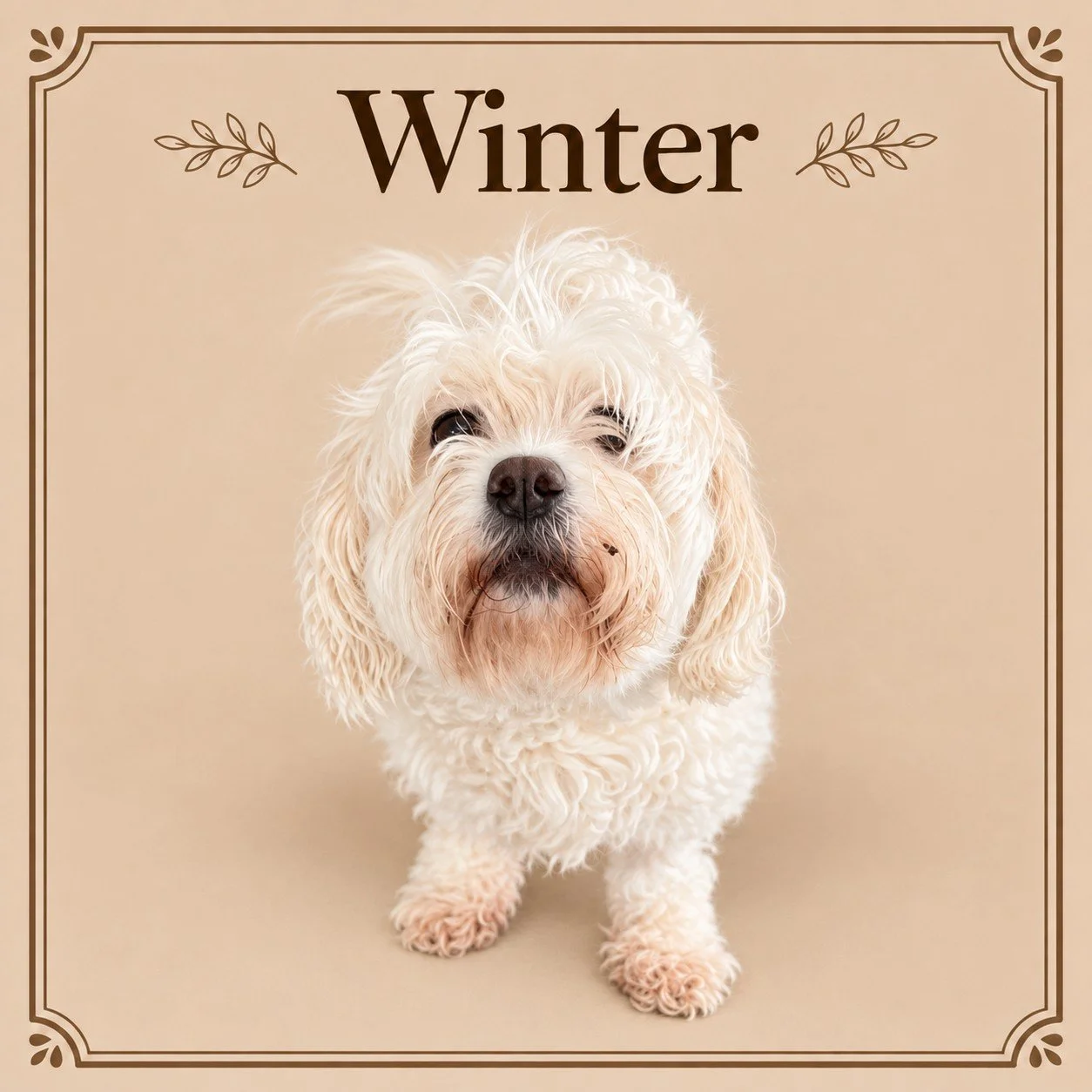 Winter.jpg
