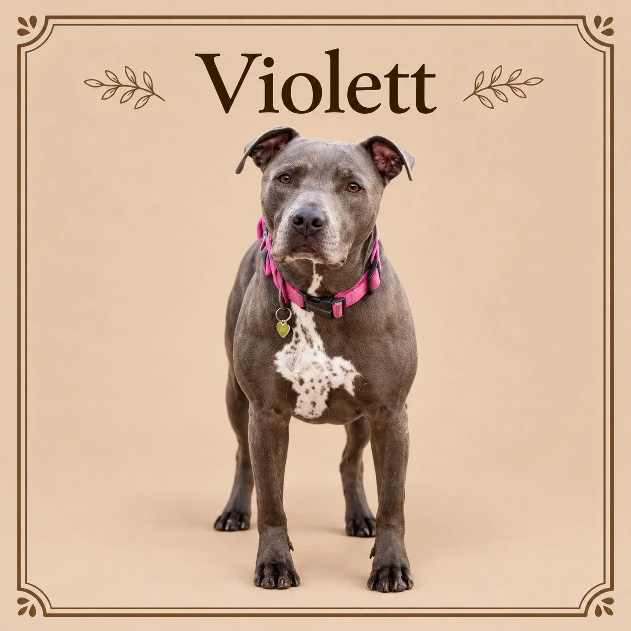 Violett.jpg