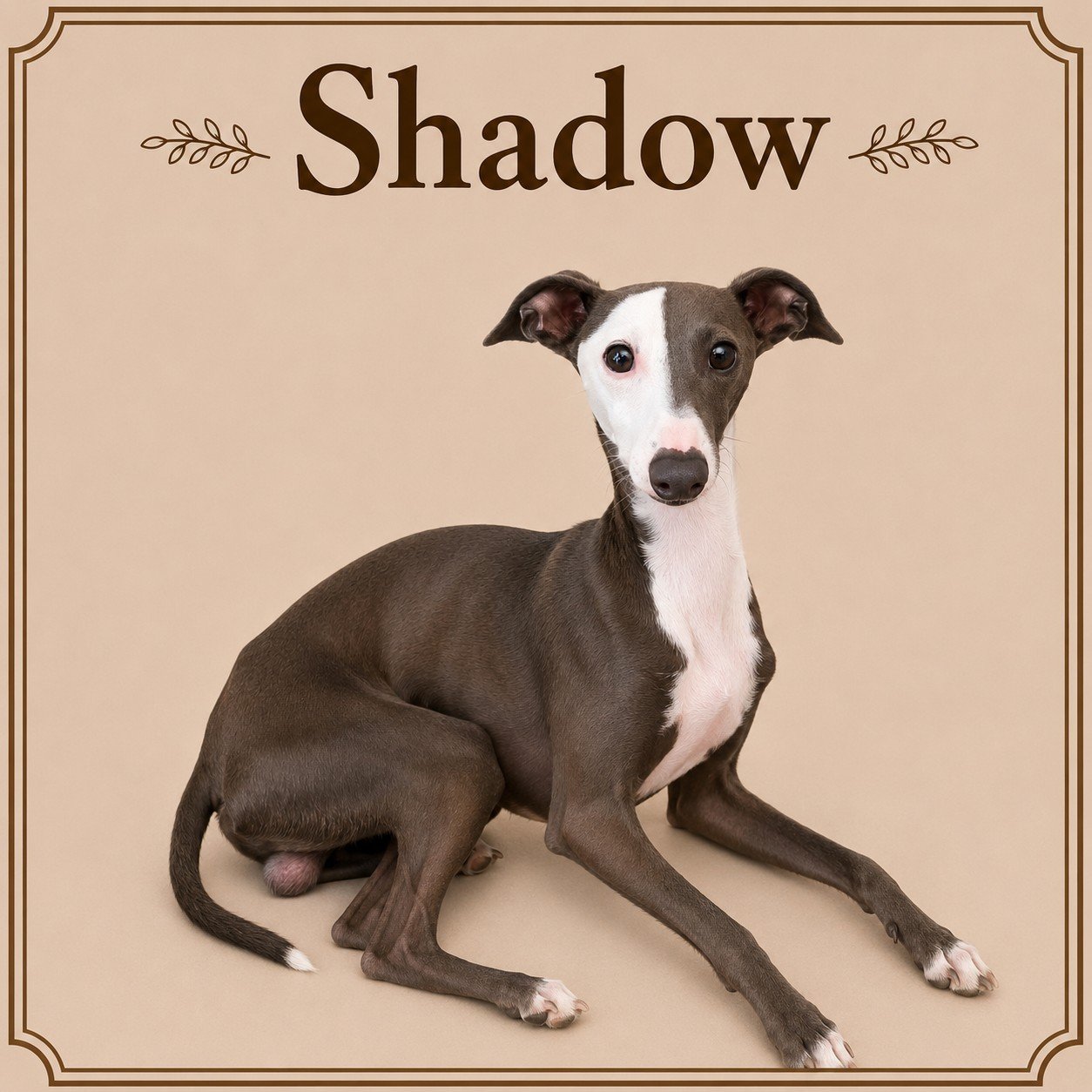 Shadow.jpeg