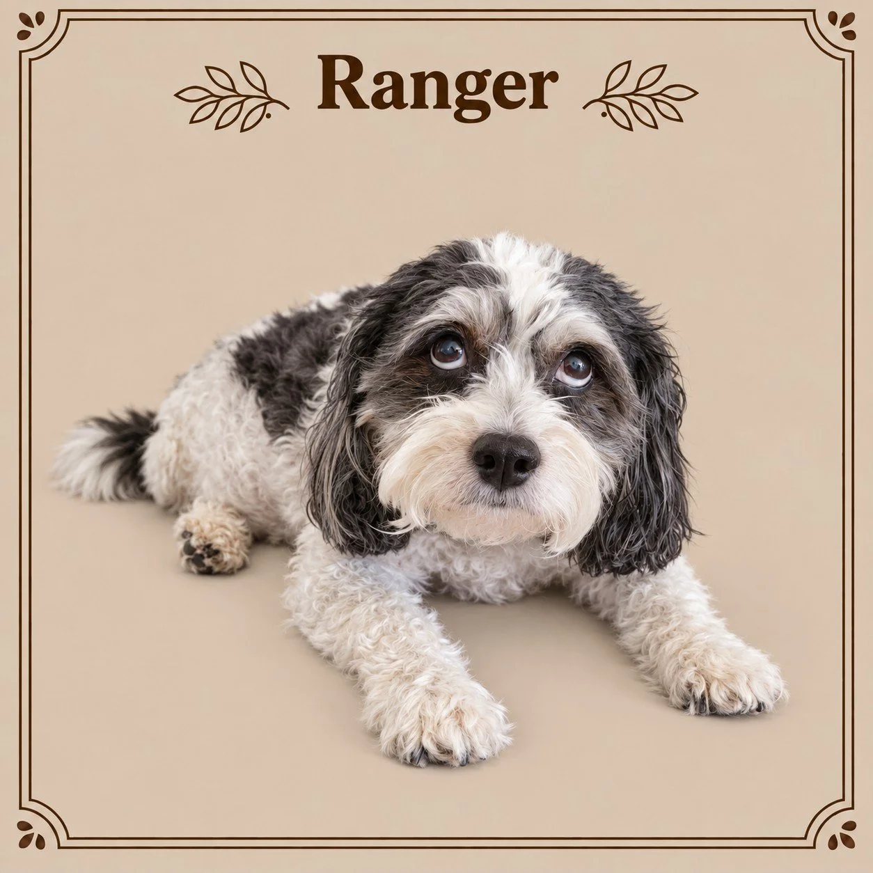 Ranger 2.jpg