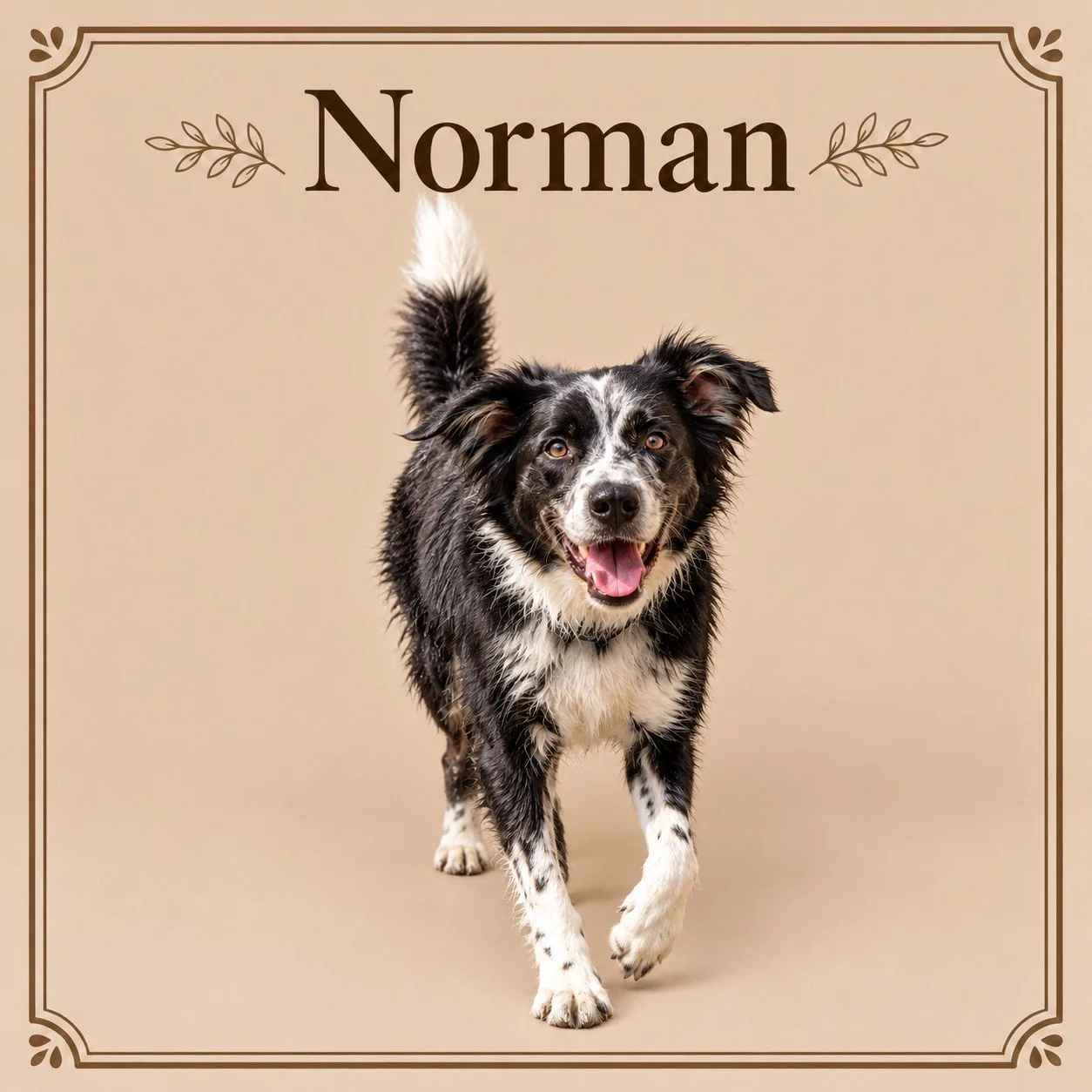 Norman 2.jpg