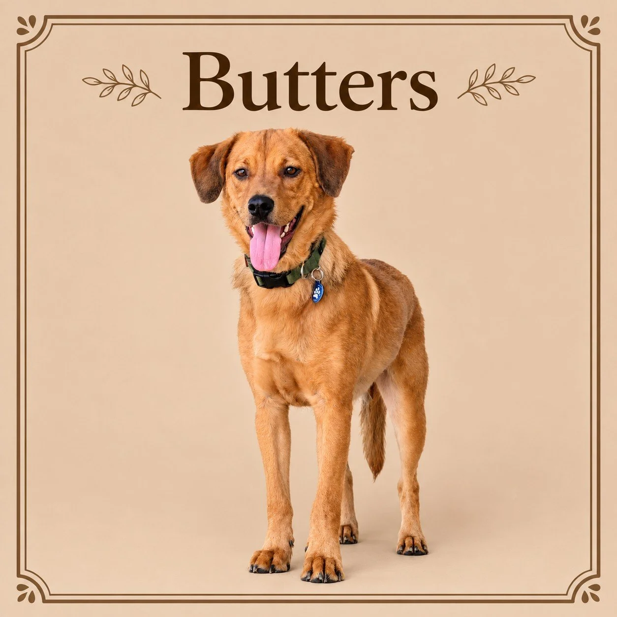 Butters (2).jpg