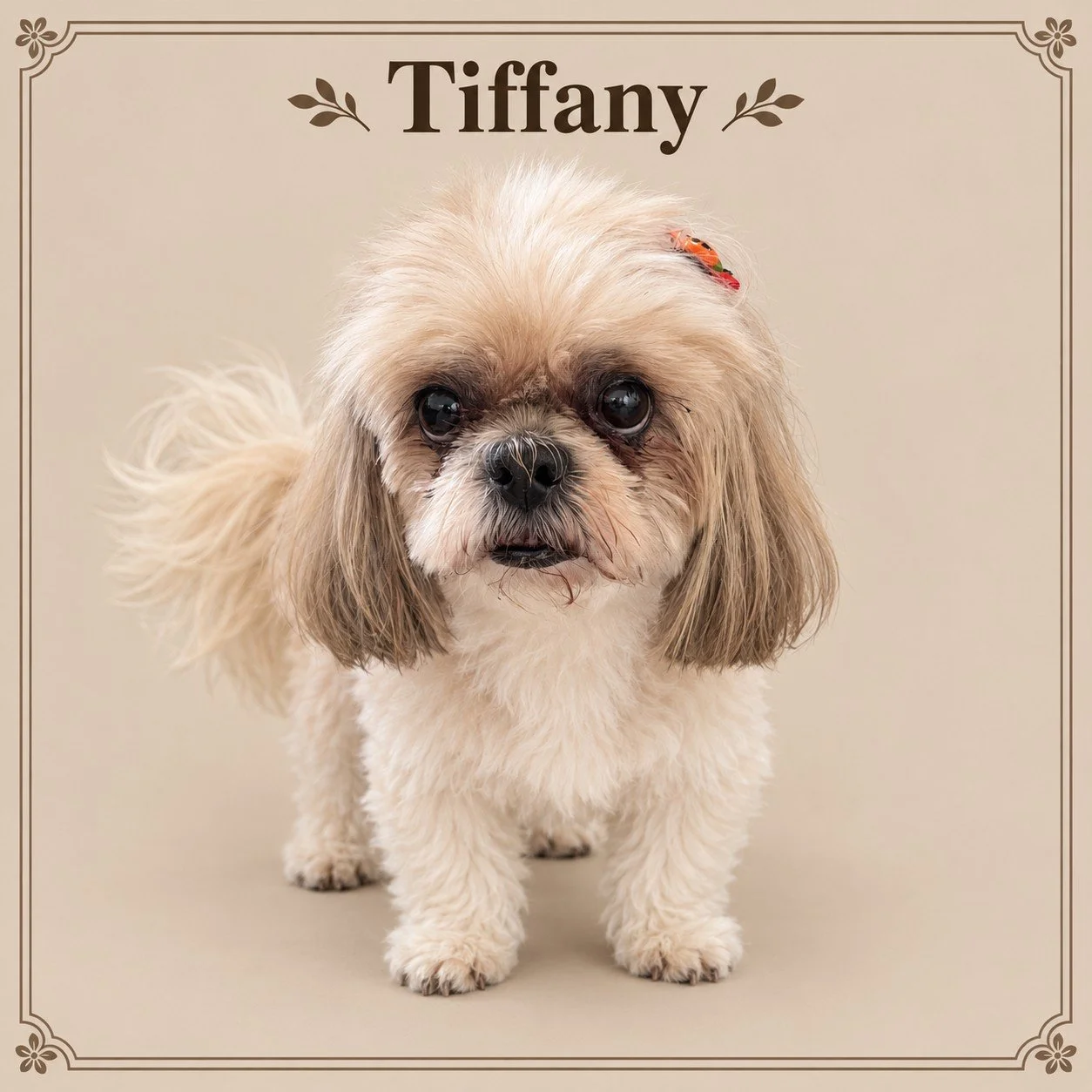 Tiffany.jpg