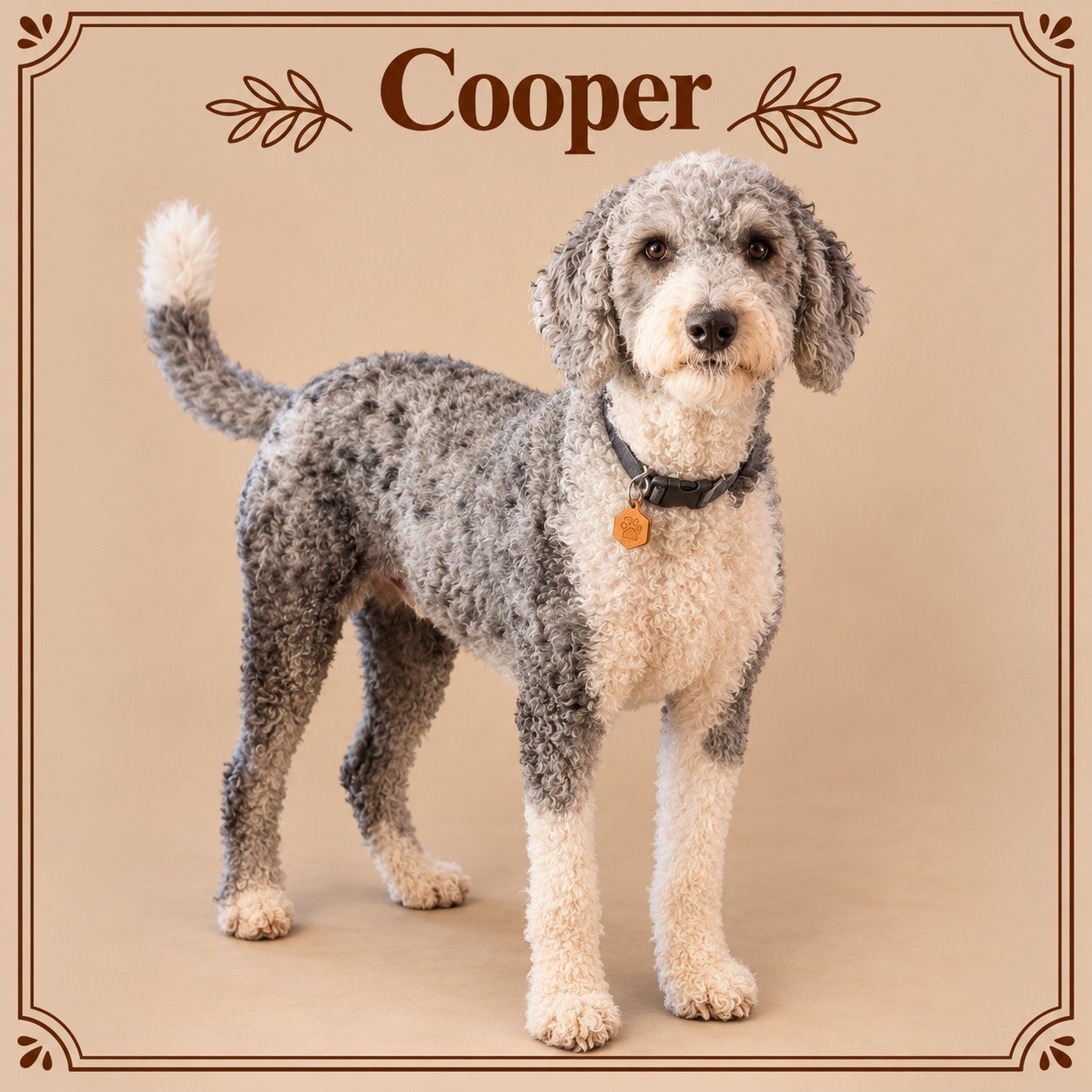 Cooper.jpg