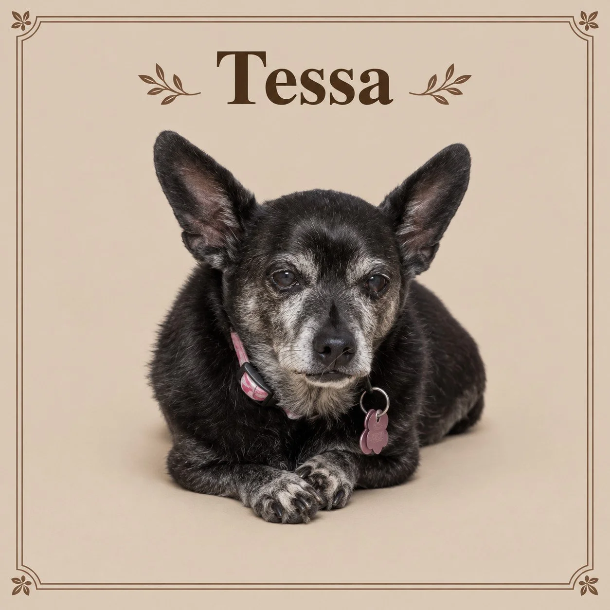 Tessa 2.jpg