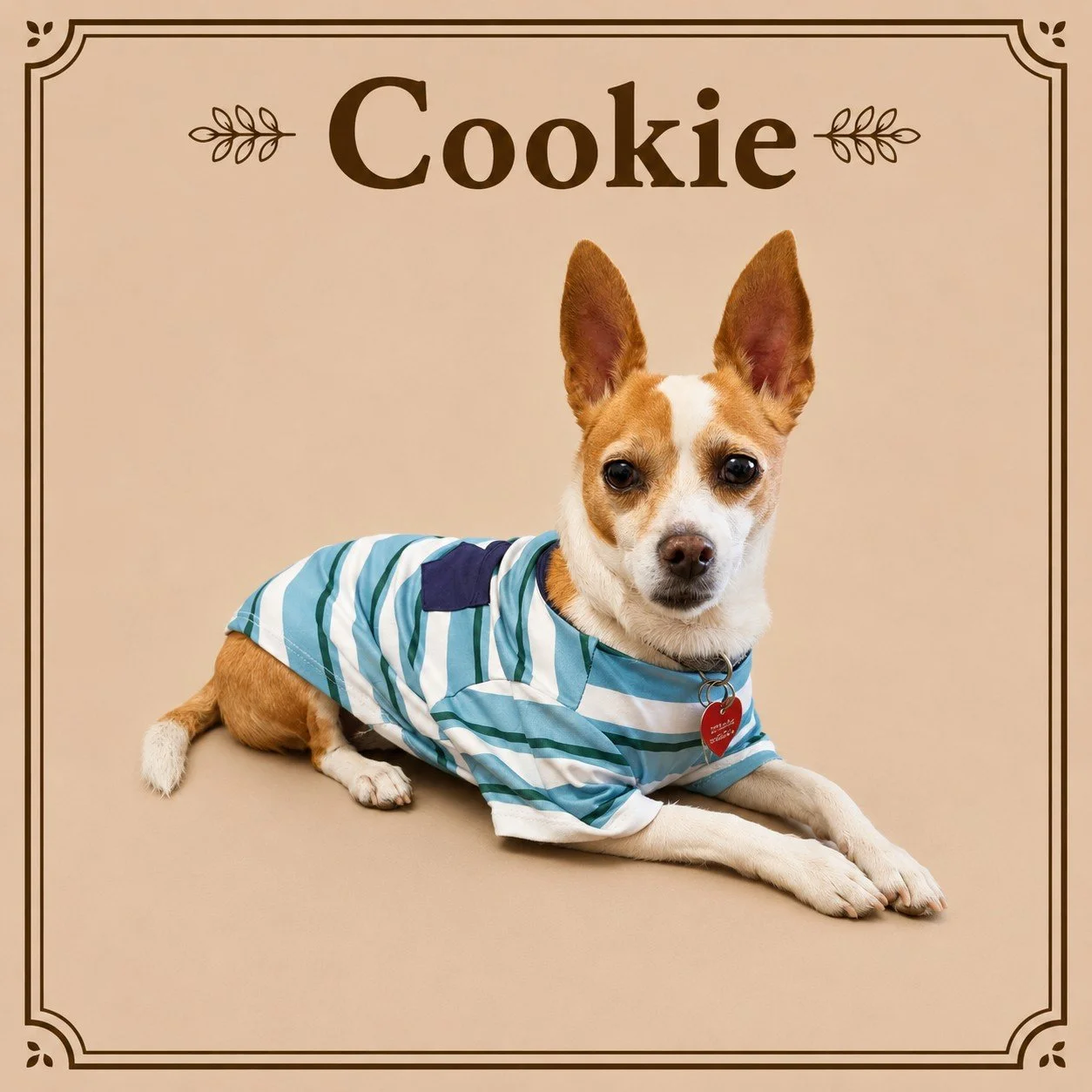 Cookie.jpeg