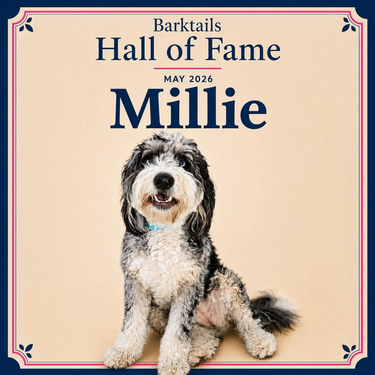 2026-05 Millie.jpeg