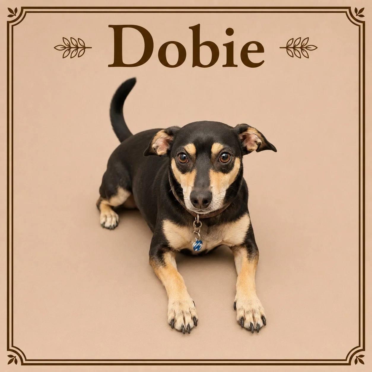 Dobie.jpeg
