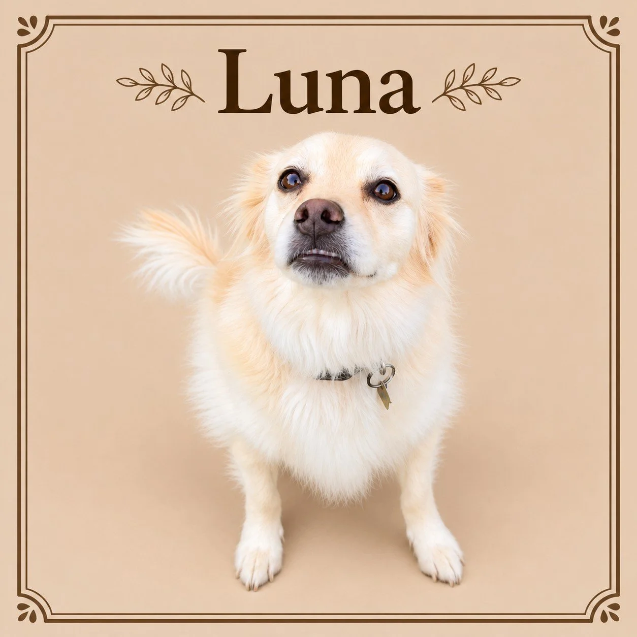 Luna 2.jpg