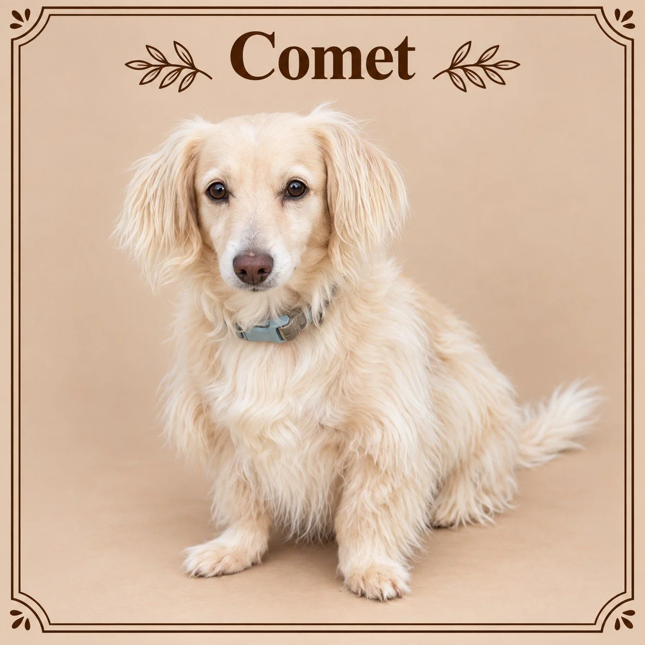 Comet.jpg