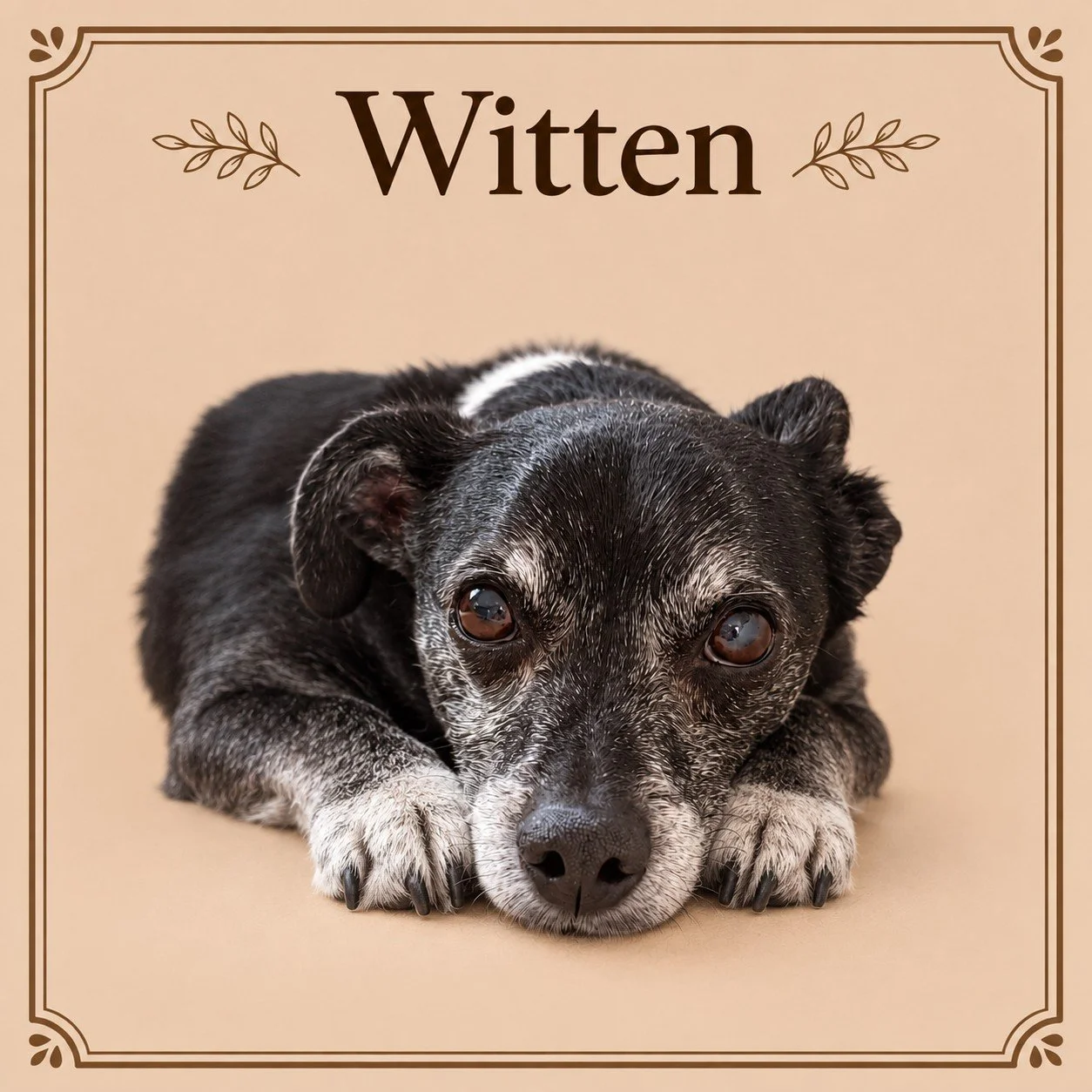 Witten.jpg
