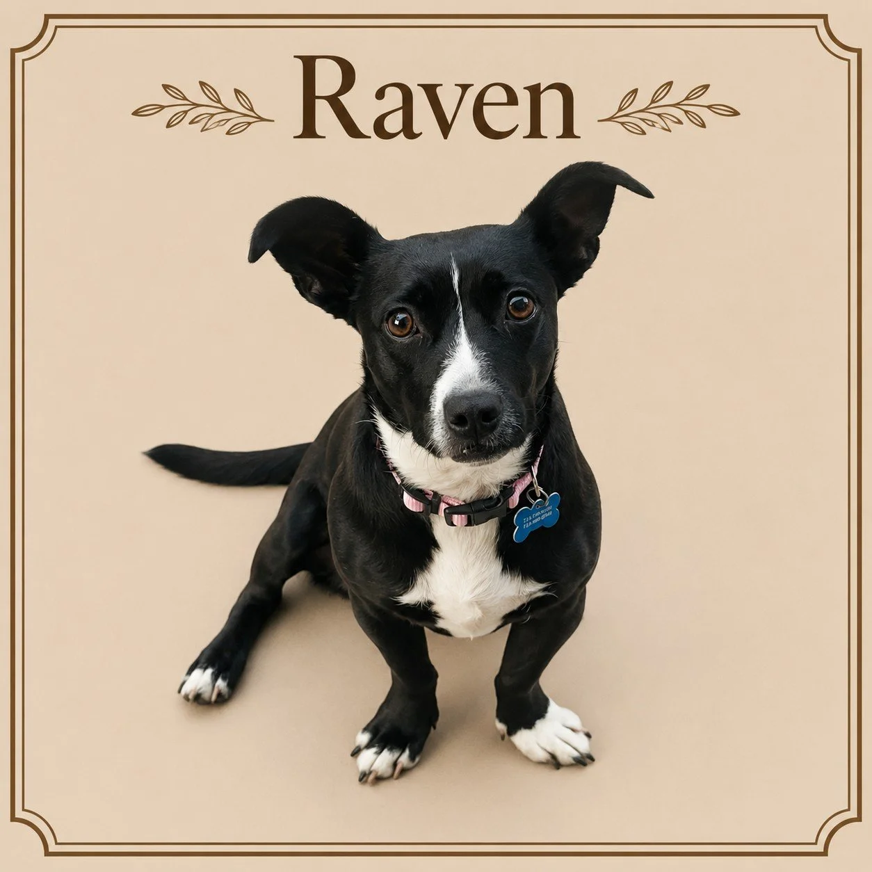 Raven.jpeg