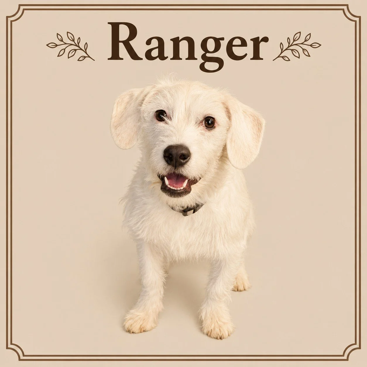 Ranger.jpeg